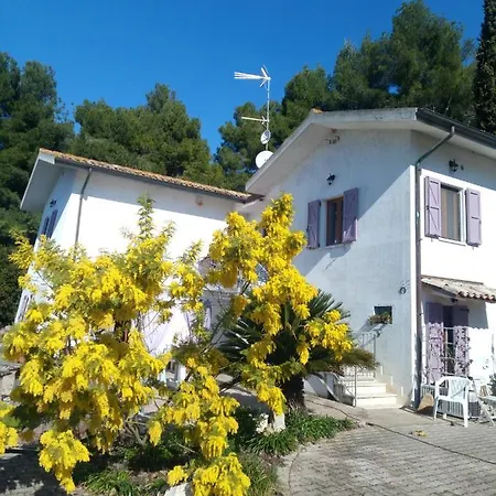 bb delcondotto-3